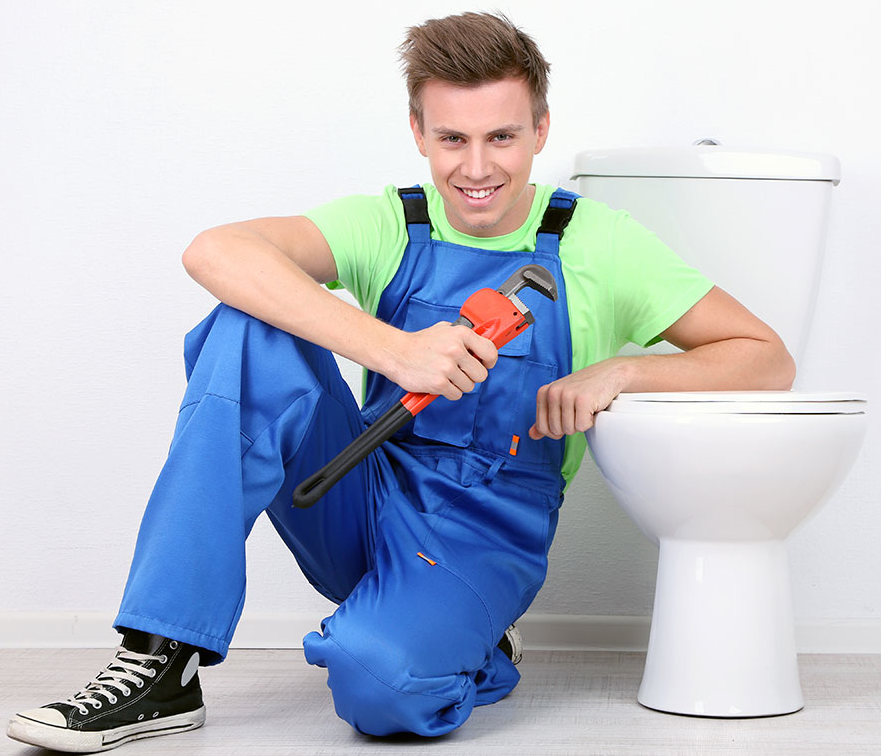 Toilet Cleaning Service Image